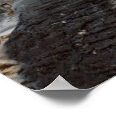 White Polar Bear Hunter auf Felsen Poster (Ecke)