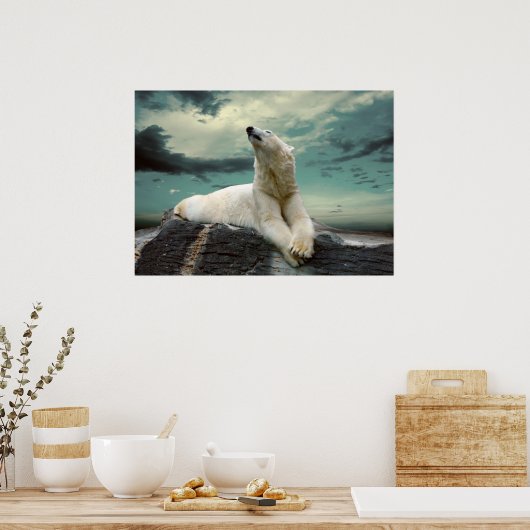White Polar Bear Hunter auf Felsen Poster (Küche)