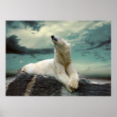 White Polar Bear Hunter auf Felsen Poster (Vorne)