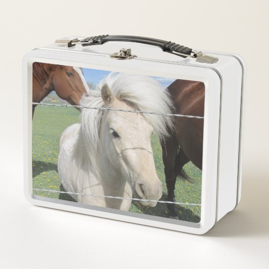White Pony Metall Brotdose (Vorderseite)