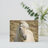 White Pony Postkarte (Stehend Vorderseite)
