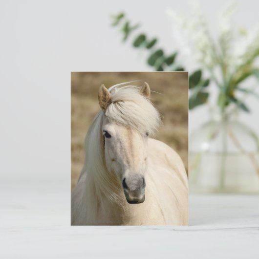 White Pony Postkarte (Stehend Vorderseite)