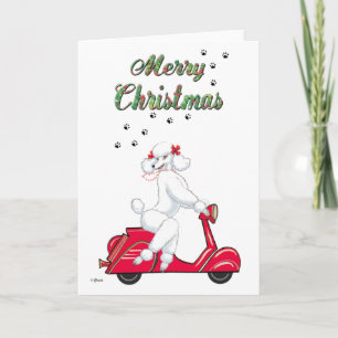 White Poodle auf Red Scooter Frohe Weihnachtskarte Feiertagskarte