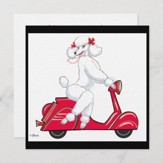 White Poodle auf Scooter Einladung (Vorne/Hinten)