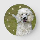 White Poodle Clock Runde Wanduhr (Vorderseite)