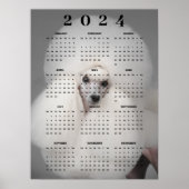 White Poodle Hund Extravagant Haircut Foto 2024 Ka Poster (Vorne)