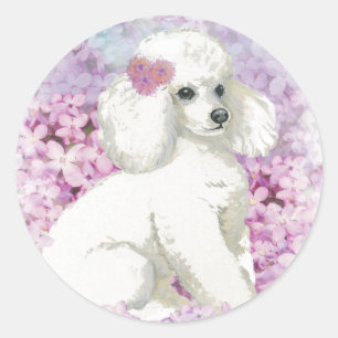White Poodle im Lilacs Kunst und Geschenke Runder Aufkleber
