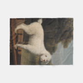 White Poodle in a Punt (von George Stubbs) Fleecedecke (Vorderseite (Horizontal))