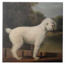 White Poodle in a Punt (von George Stubbs)