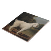 White Poodle in a Punt (von George Stubbs) Fliese (Seite)