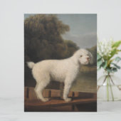 White Poodle in a Punt (von George Stubbs) Karte (Stehend Vorderseite)