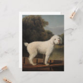 White Poodle in a Punt (von George Stubbs) Karte (Vorderseite/Rückseite Beispiel)
