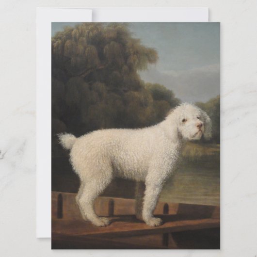 White Poodle in a Punt (von George Stubbs) Karte (Vorderseite)