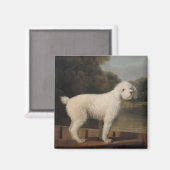 White Poodle in a Punt (von George Stubbs) Magnet (Vorderseite/Rückseite)