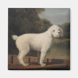 White Poodle in a Punt (von George Stubbs) Magnet