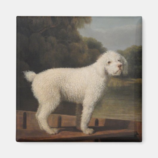 White Poodle in a Punt (von George Stubbs) Magnet (Vorne)