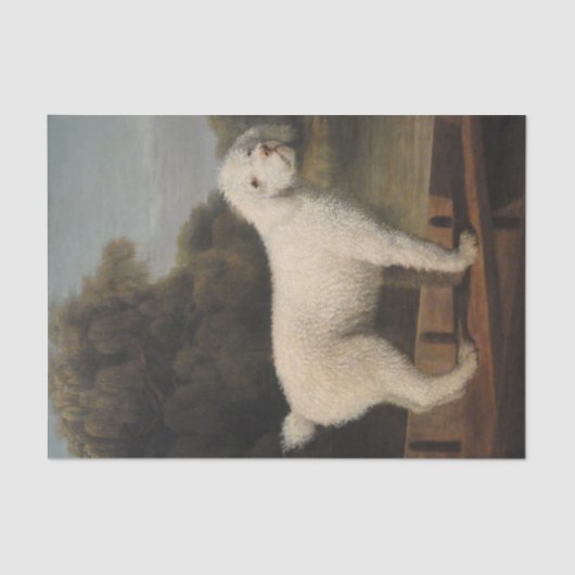 White Poodle in a Punt (von George Stubbs) Seidenpapier (Vorderseite)