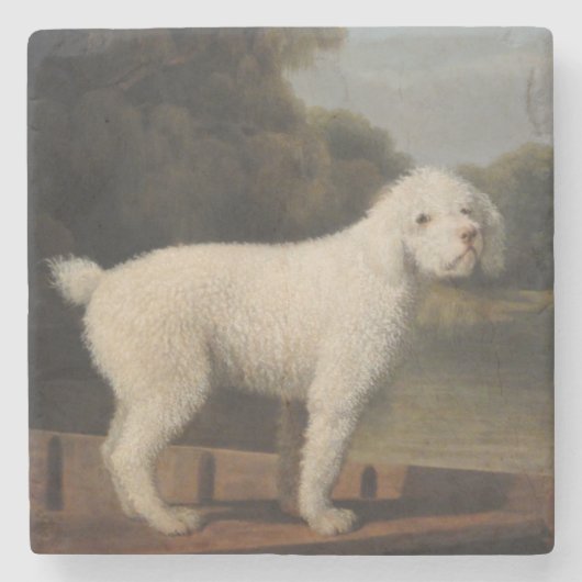 White Poodle in a Punt (von George Stubbs) Steinuntersetzer (Vorderseite)