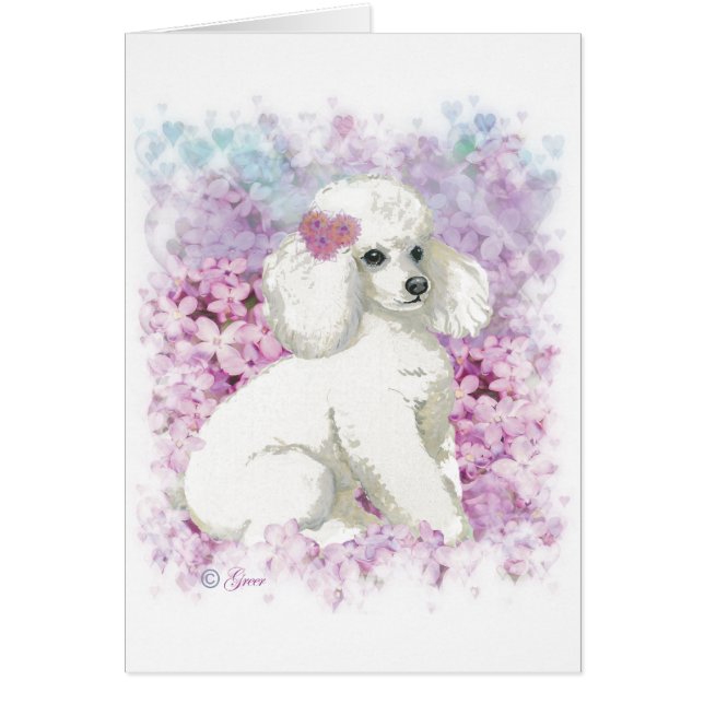 White Poodle in Lilacs Kunst und Geschenke (Vorne)