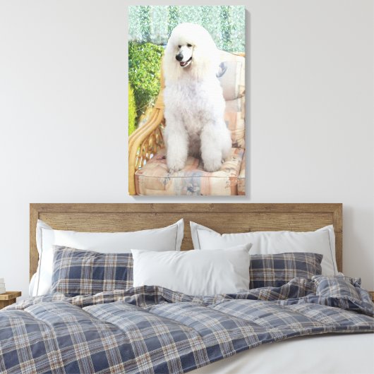 White Poodle Leinwanddruck (Insitu (Schlafzimmer))