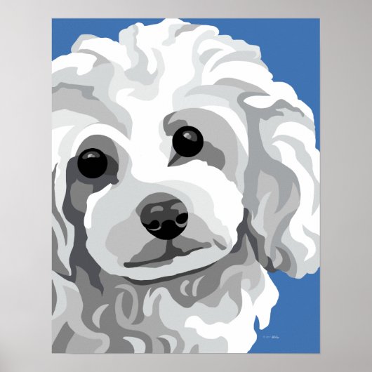 White Poodle Poster (Vorne)