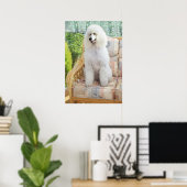 White Poodle Poster (Heimbüro)