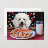 White Poodle Weihnachten (Vorne/Hinten)