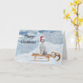 White Poodle Weihnachten Karte (Gelbe Blume)