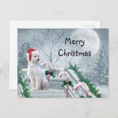 White Poodle Weihnachten Postkarte (Vorne/Hinten)