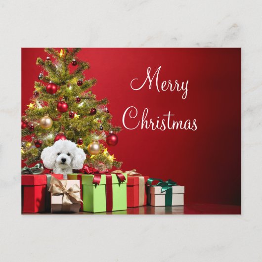 White Poodle Weihnachten Postkarte (Vorderseite)