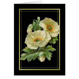 White Poppies Dankeschön Karten