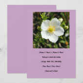 White Potentilla Wedding Einladung (Vorne/Hinten)