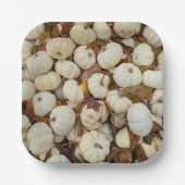 White Pumkin Paper Plate Pappteller (Vorderseite)