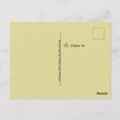 White Pumpkin Mini Gourd Fall Postcard Postkarte (Rückseite)