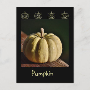 White Pumpkin Mini Gourd Fall Postcard Postkarte