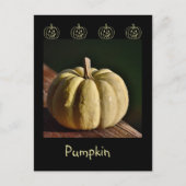 White Pumpkin Mini Gourd Fall Postcard Postkarte (Vorderseite)