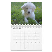 White Puppies Kalender (Feb 2027)