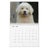 White Puppies Kalender (Mär 2027)