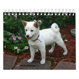 White Puppies Kalender