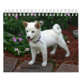 White Puppies Kalender (Titelbild)