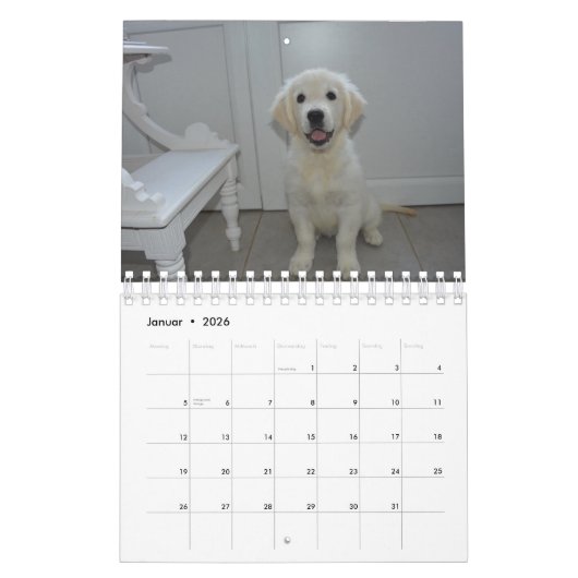 White Puppies Kalender (Jan 2026)