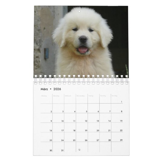 White Puppies Kalender (Mär 2026)