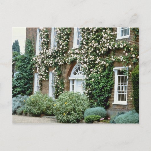 White Queen Anne House mit Klettergarten Rose Ceci Postkarte (Vorderseite)