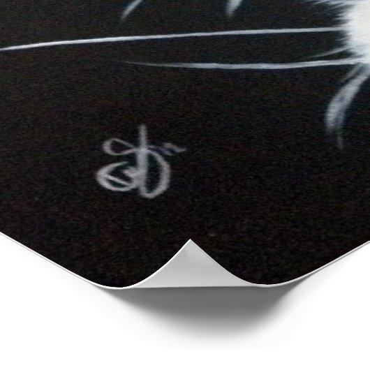 White Rabbit.jpg Poster (Ecke)