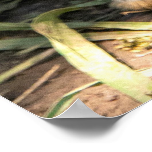 White rabbit poster (Ecke)