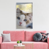 White Ragdoll Cat Wrapped Canvas Leinwanddruck (Insitu (Wohnzimmer))