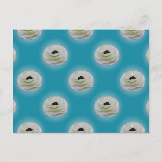 White Ranunculus Blume Postcard Postkarte (Vorderseite)