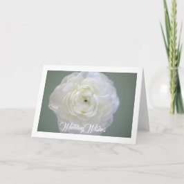 White Ranunculus Greeting Card Karte