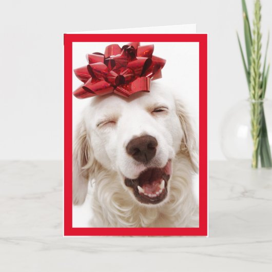 WHITE RETRIEVER TRAING BOW HAPPY NEW YEAR CARD DANKESKARTE (Vorderseite)