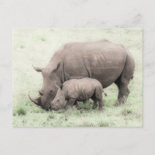 White Rhino & Baby Postcard Postkarte